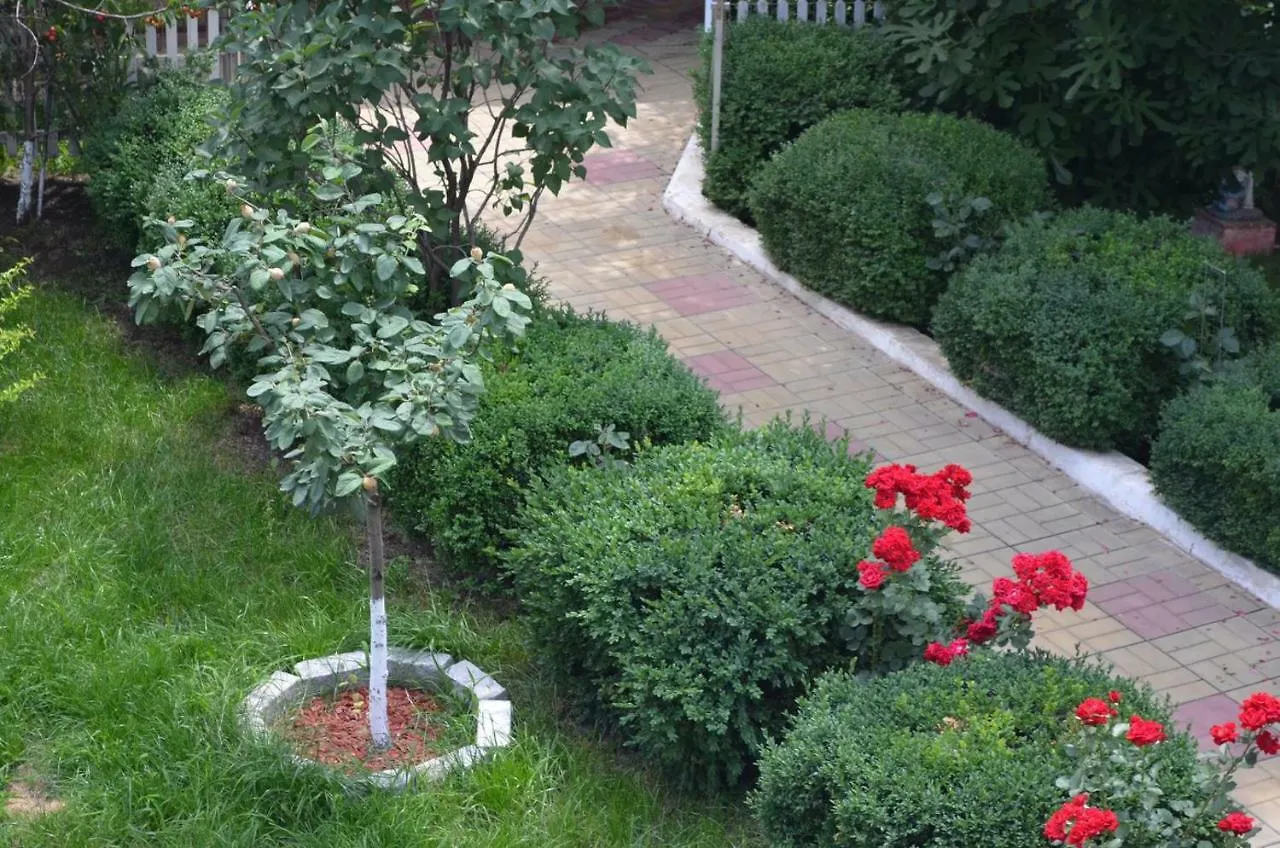 Guest house Cristalex Villaverde Bucharest Pantelimon
